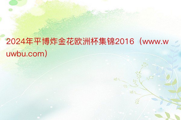 2024年平博炸金花欧洲杯集锦2016（www.wuwbu.com）